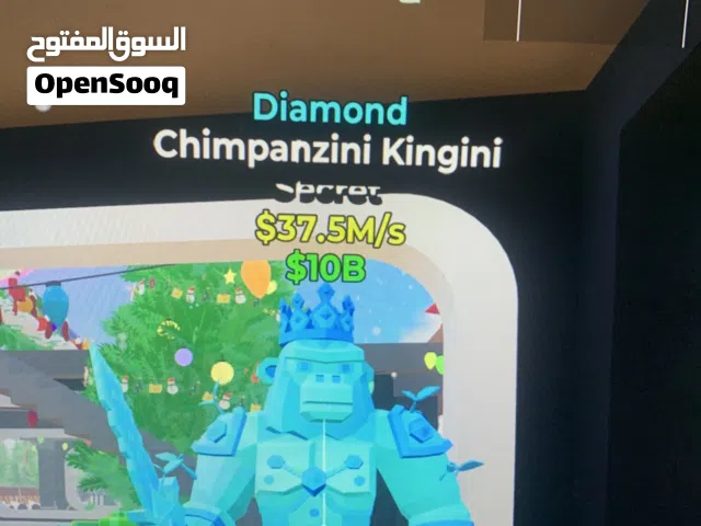 للبيع شمبانزيني كينقن