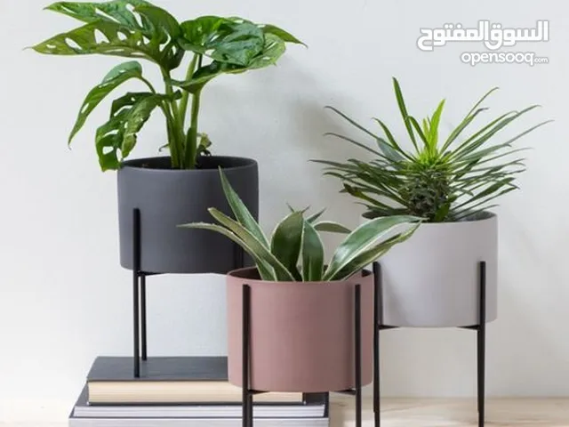 PLANT STAND