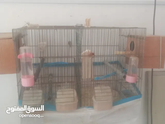 قفاص طيور للبيع