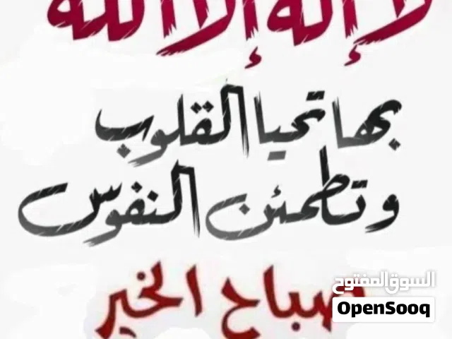 مطلوب بقرة حلوب هادئة