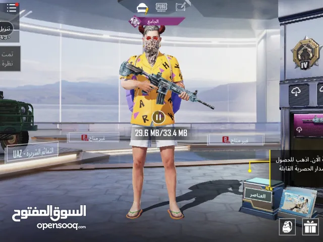 Pubg Accounts and Characters for Sale in Al-Raqqah