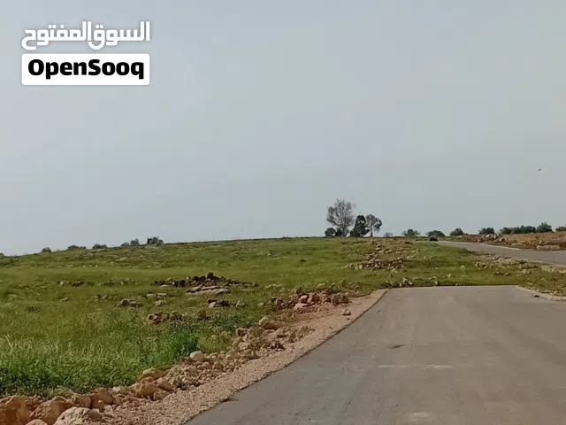 Farm Land for Sale in Jerash Other