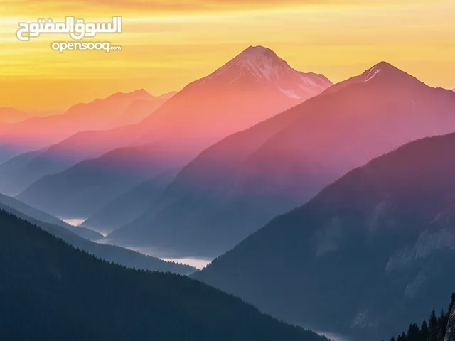 صور إبداعية + لوقو مميز بـ 20 درهم فقط – تواصل داخل التطبيق