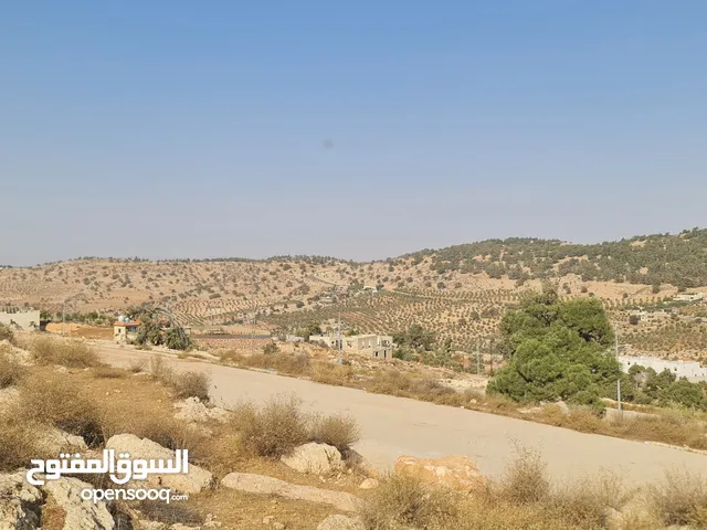 Residential Land for Sale in Zarqa Al-Kamsha