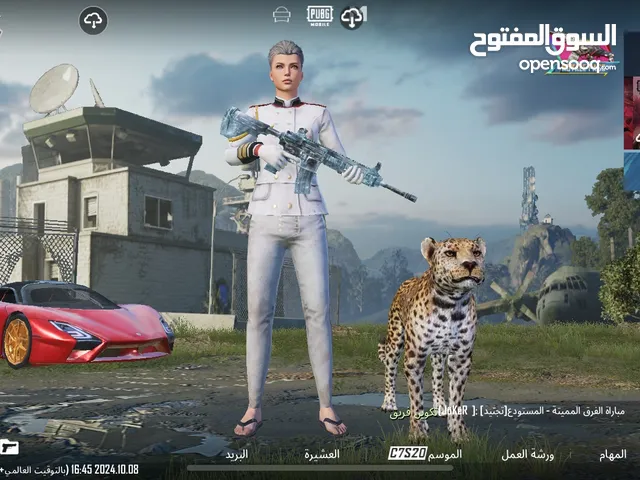 Pubg Accounts and Characters for Sale in Northern Governorate