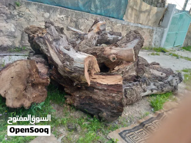 حطب شجر فلفل