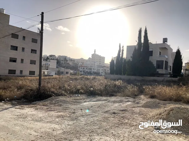 Residential Land for Sale in Amman Naour