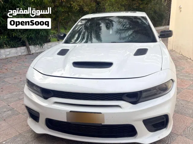 دودج تشارجر SXT 2019 لون أبيض مع كامل المواصفات الأمريكية