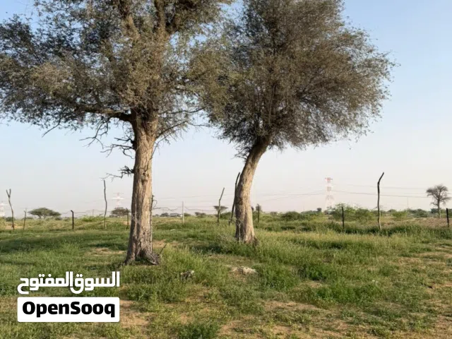 3 Bedrooms Chalet for Rent in Ras Al Khaimah Other
