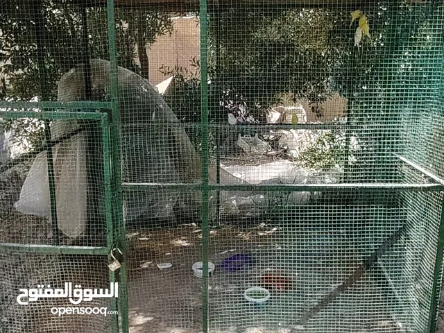 قفص حديد طول 2 والعرض 2