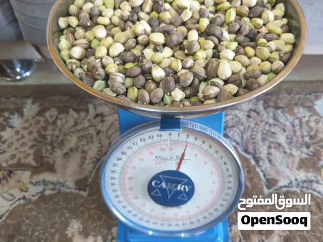 حب شوع للبيع 1كيلو 1.500