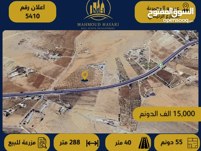 رقم الإعلان: 5410 مزرعة للبيع في عين والمعمرية / على الشارع الرئيسي