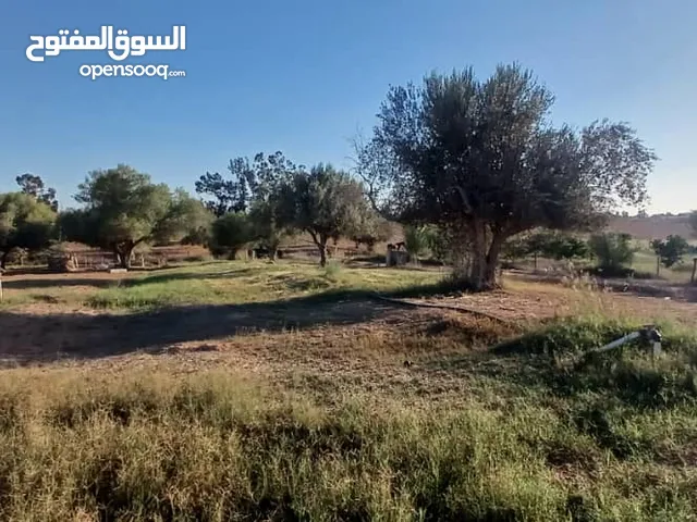 Farm Land for Sale in Sorman Other