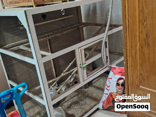 اقفاص طيور وبيوت