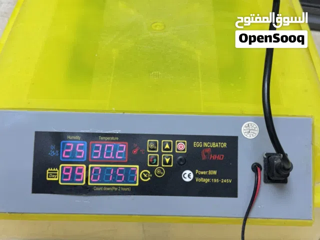 فقاصه بيض دجاج