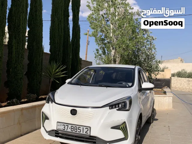 2022 شانجان E-ستار
