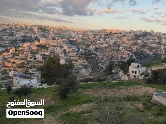ارض ب اطلالة جميلة في منطقة لوزا وسعر مميز كاش