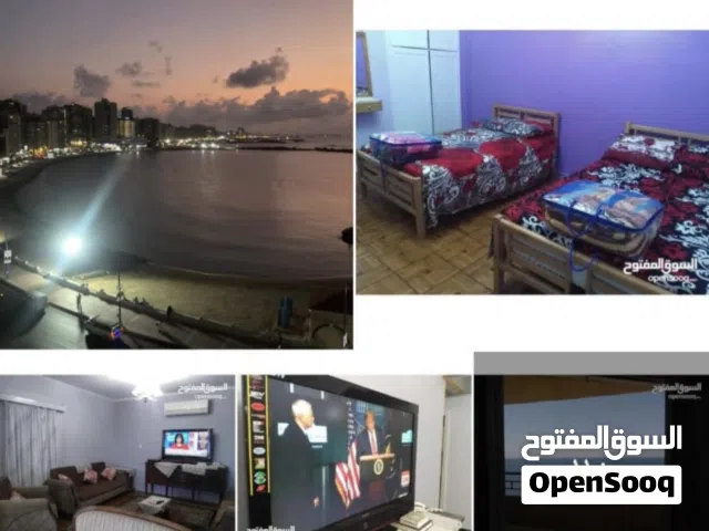 140 m2 2 Bedrooms Apartments for Rent in Alexandria Miami