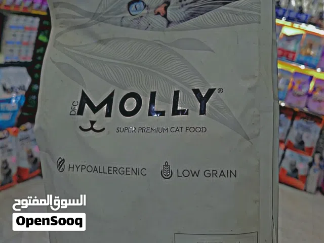 دراي فود MOLLY mother & babycat