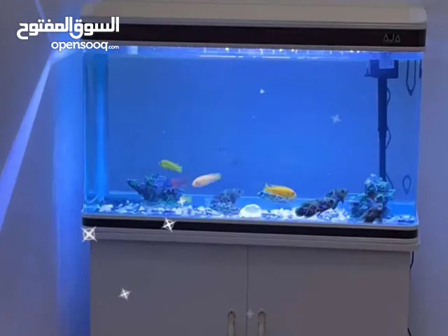 حوض سمك للبيع نظيف الي بيخلص خلال يومين ب 450