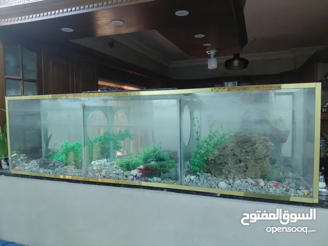 حوض سمك بدون طاوله طول 180 العرض30 الارتفاع 50 سماكت القزاز من الأسفل10 مل والجوانب 6 مل الطهر مراي