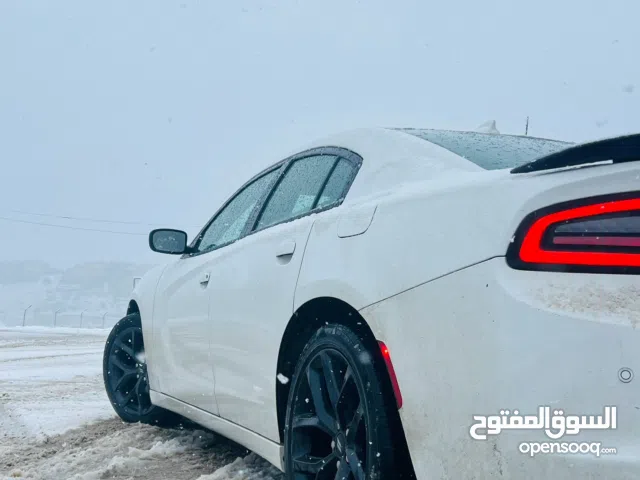 Used Dodge Charger in Mosul