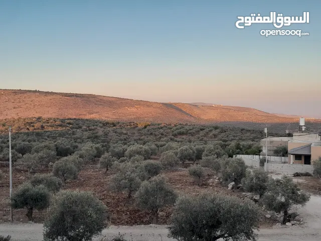 ارض البيع موقع ممتاز