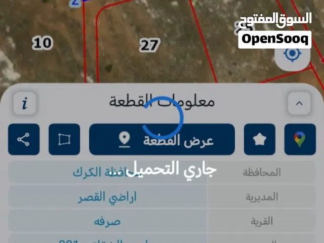 أرض للبيع في الكرك منطقة القصر قرية صرفه بسعر مناسب جداً لكامل القطعه  فرصه ورخصه