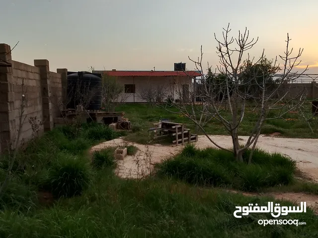 1 Bedroom Farms for Sale in Benghazi Al-Talhia