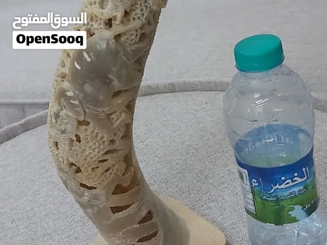 قرن نادر وعليه نحت جميل