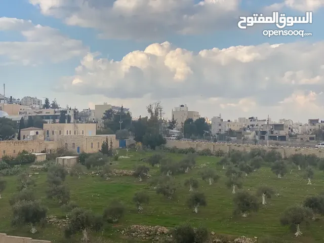 140 m2 3 Bedrooms Apartments for Sale in Jerusalem Al 'Eizariya