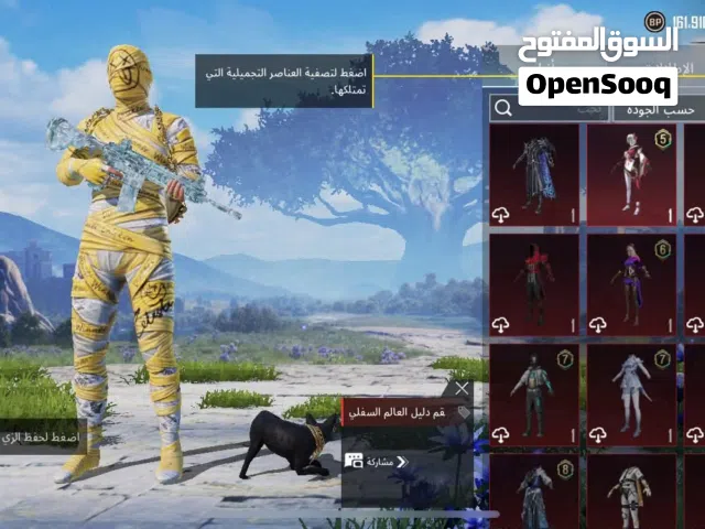 Pubg Accounts and Characters for Sale in Abyar