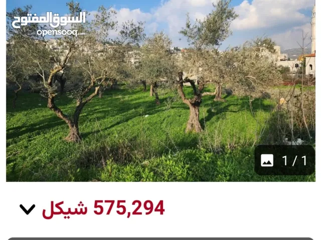 Residential Land for Sale in Ramallah and Al-Bireh Dayr Ibzi'