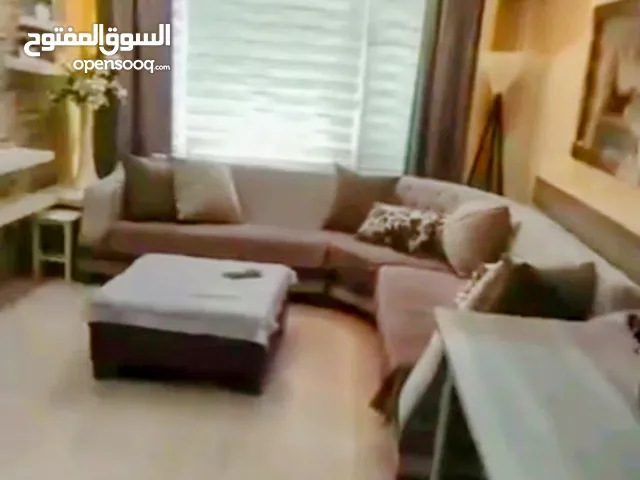 ستوديو مفروش للايجار من المالك مباشرة بدون وسيط الزمالك ابو الفداء