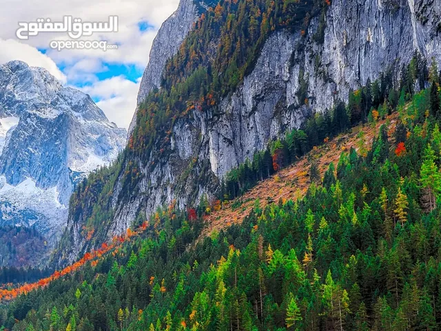 أرض للبيع في شفا بدران مرج الأجرب شارعين