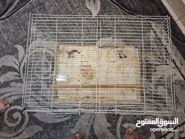 cage for sale