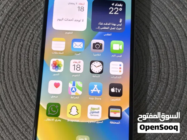 اكس ماكس بس الظهر مفطور مكفول