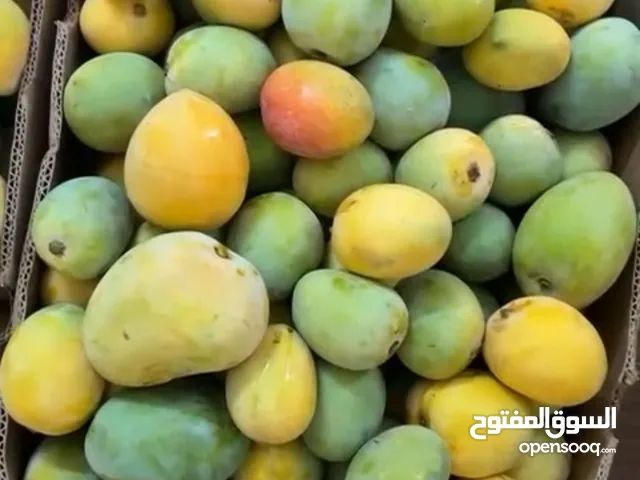 همبا عماني للبيع الكرتون ب 10 ا الموقع ولايه شناص فوق 22 كيلو