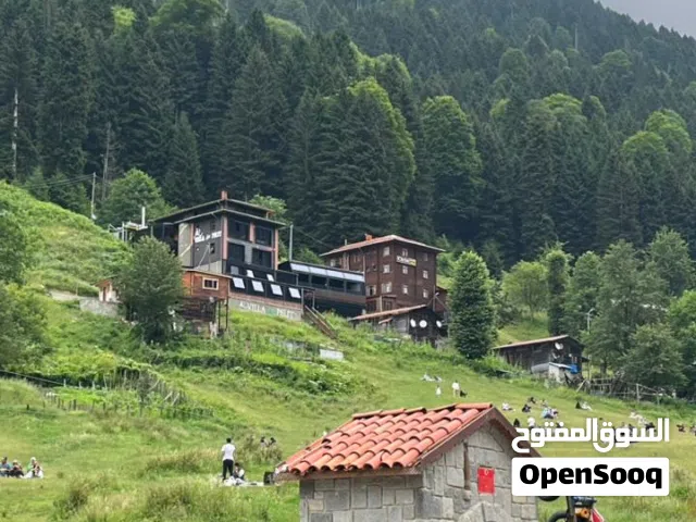 توفير عمال للمزارع