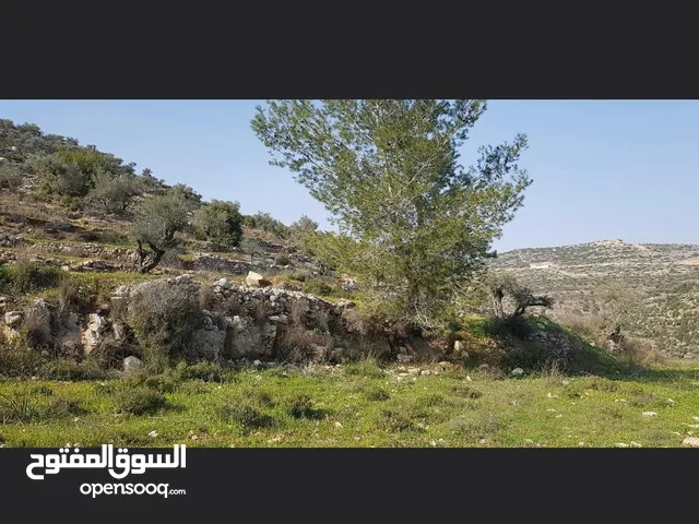 Residential Land for Sale in Ramallah and Al-Bireh Dayr Ghasana