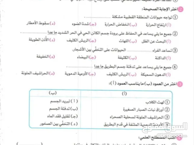 مستر عبدالرحمن معلم للمرحله الابتدائيه و الاعداديه و الثانويه