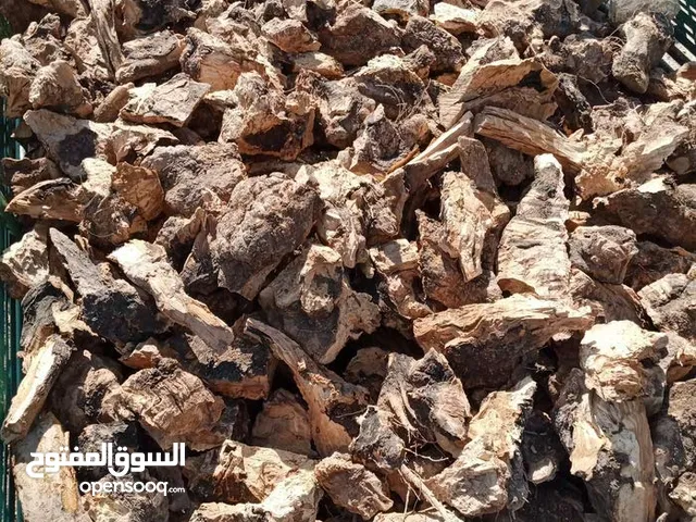 حطب زيتون زند وقرمي ناشف للبيع إن شاء الله