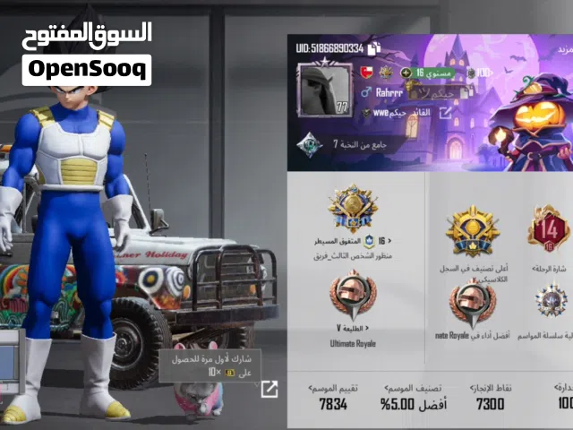 Pubg Accounts and Characters for Sale in Al Dhahirah