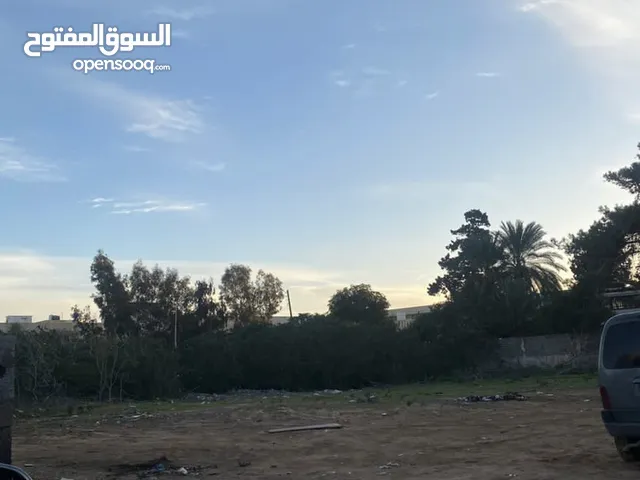 Mixed Use Land for Sale in Tripoli Gharghour