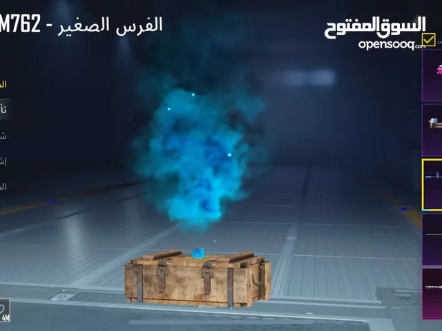 Pubg Accounts and Characters for Sale in Al Ain