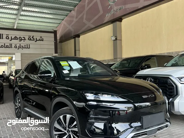 BYD SP CHAMPION البطاريه الكبيره ( معرض الحضر )