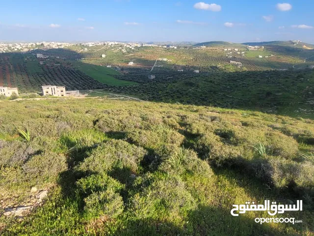 Mixed Use Land for Sale in Irbid Shatna