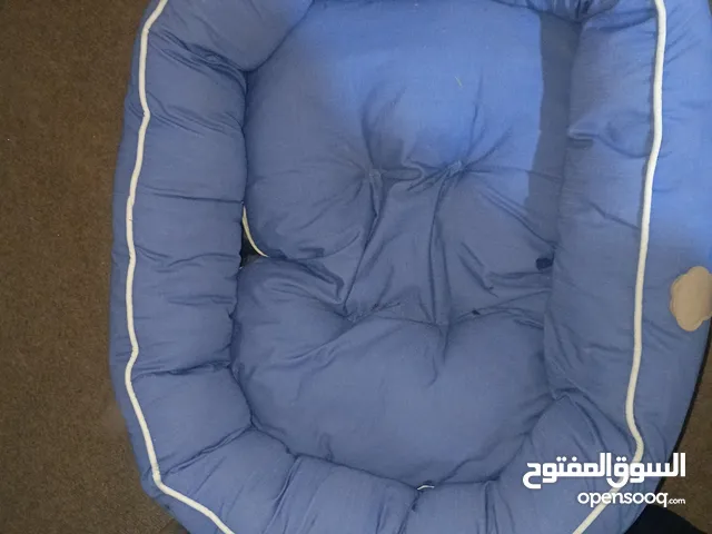 تخت للاقطط للبيع