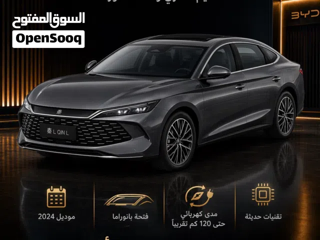 2024 بي واي دي كين