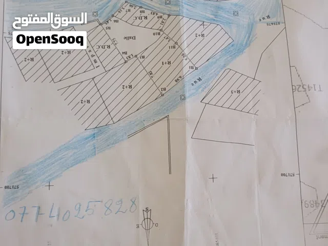 عمر كاب رديو